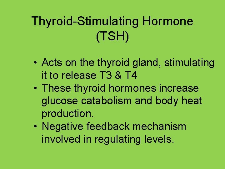 Thyroid-Stimulating Hormone (TSH) • Acts on the thyroid gland, stimulating it to release T