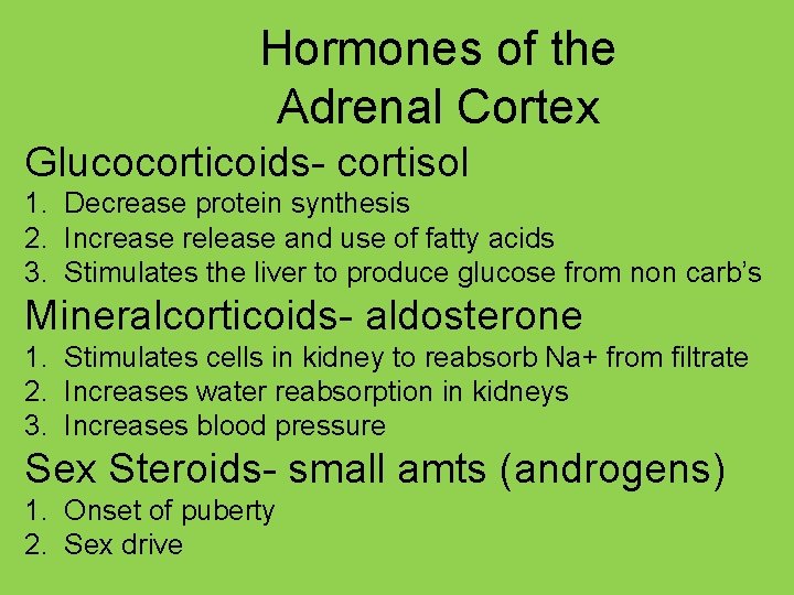 Hormones of the Adrenal Cortex Glucocorticoids- cortisol 1. Decrease protein synthesis 2. Increase release