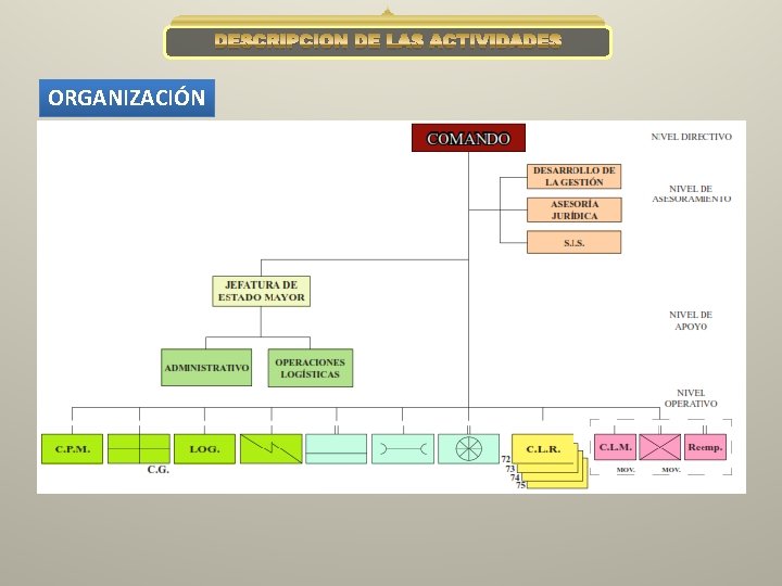 DESCRIPCIÓN DE LAS ACTIVIDADES ORGANIZACIÓN 