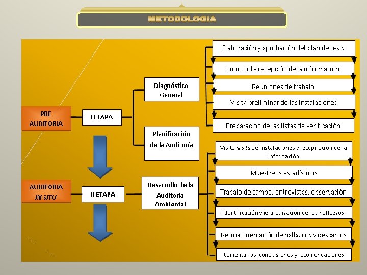 METODOLOGÍA 