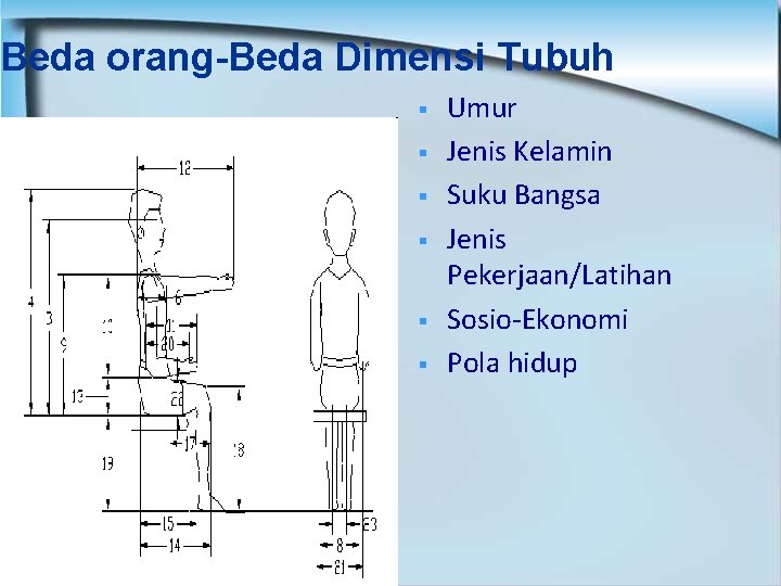 Beda orang-Beda Dimensi Tubuh § § § Umur Jenis Kelamin Suku Bangsa Jenis Pekerjaan/Latihan