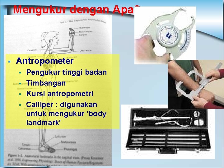 Mengukur dengan Apa? § Antropometer § § Pengukur tinggi badan Timbangan Kursi antropometri Calliper