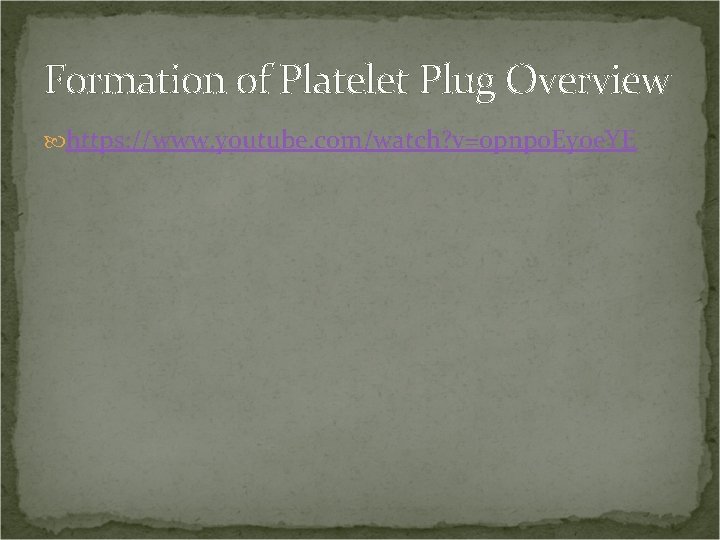 Formation of Platelet Plug Overview https: //www. youtube. com/watch? v=0 pnpo. Ey 0 e.