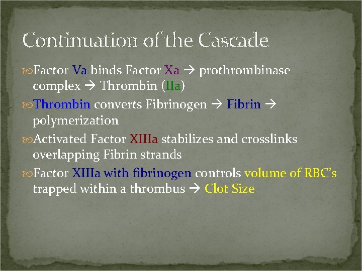 Continuation of the Cascade Factor Va binds Factor Xa prothrombinase complex Thrombin (IIa) Thrombin