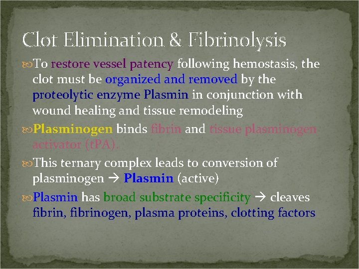 Clot Elimination & Fibrinolysis To restore vessel patency following hemostasis, the clot must be