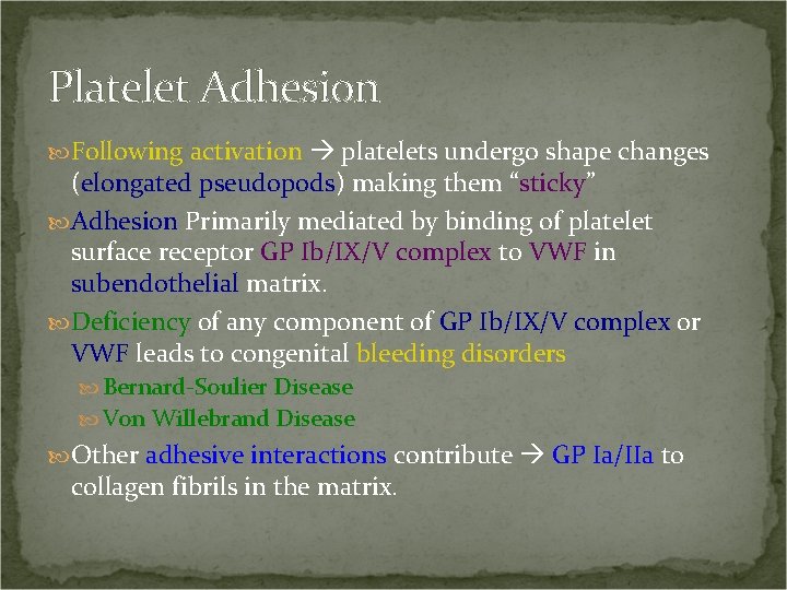Platelet Adhesion Following activation platelets undergo shape changes (elongated pseudopods) making them “sticky” Adhesion