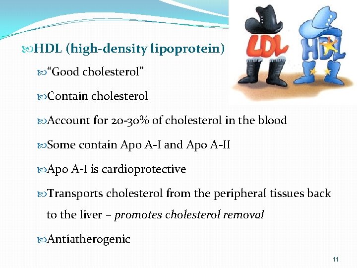  HDL (high-density lipoprotein) “Good cholesterol” Contain cholesterol Account for 20 -30% of cholesterol