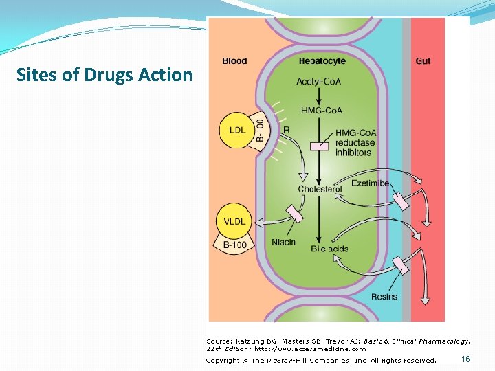 Sites of Drugs Action 16 