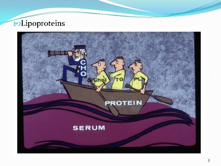 Lipoproteins 5 