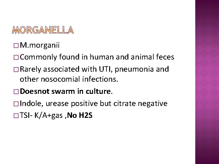 � M. morganii � Commonly found in human and animal feces � Rarely associated