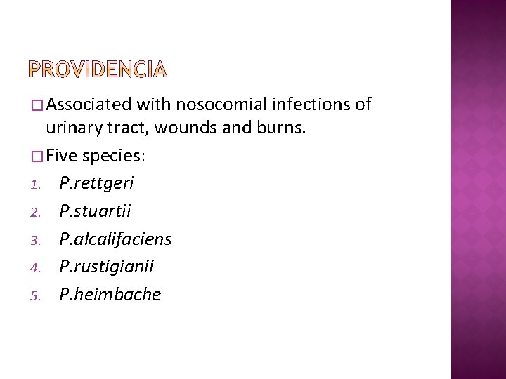 � Associated with nosocomial infections of urinary tract, wounds and burns. � Five species: