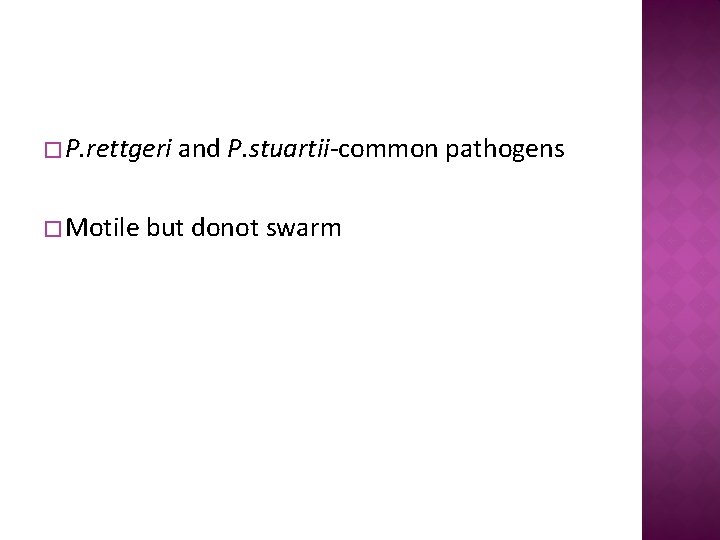 � P. rettgeri � Motile and P. stuartii-common pathogens but donot swarm 
