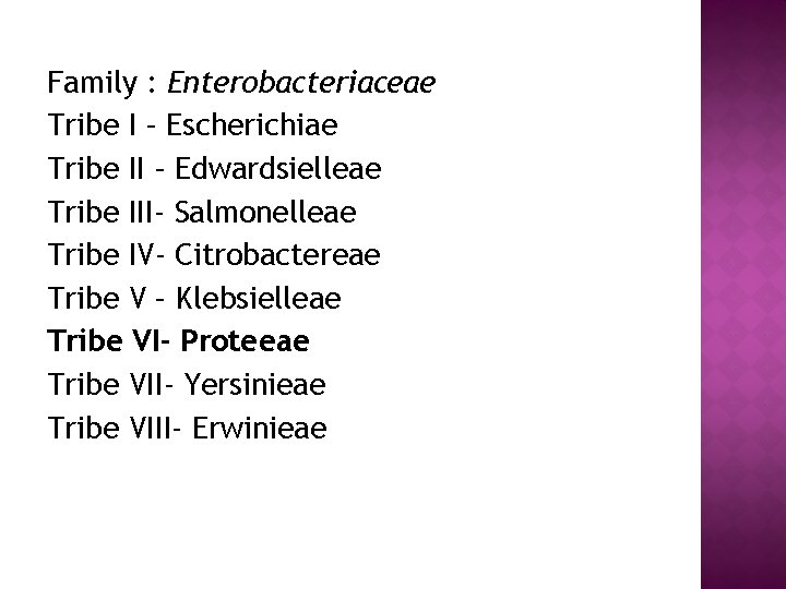 Family : Enterobacteriaceae Tribe I – Escherichiae Tribe II – Edwardsielleae Tribe III- Salmonelleae