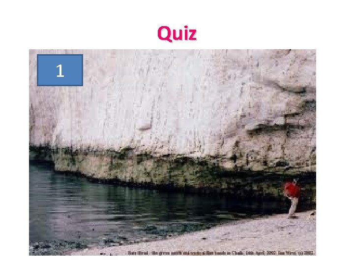 Quiz 1 