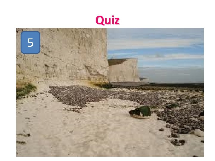 Quiz 5 