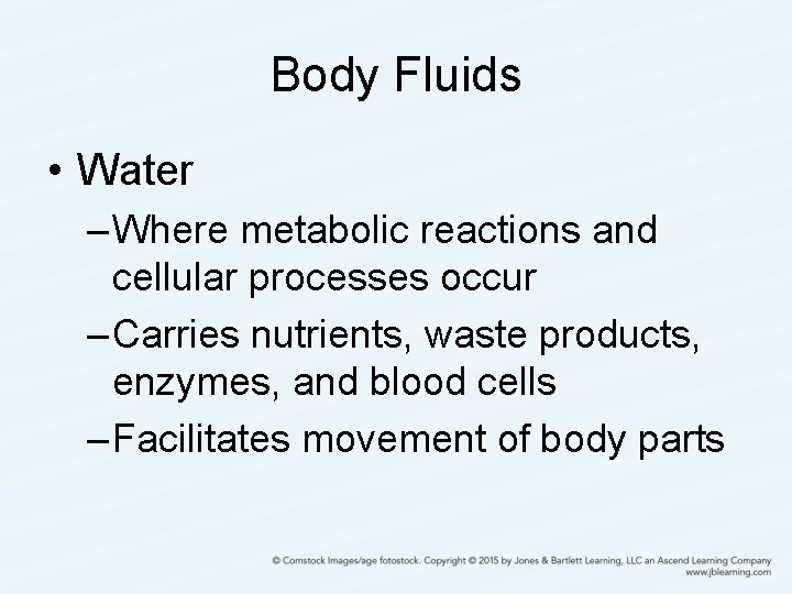 Body Fluids • Water – Where metabolic reactions and cellular processes occur – Carries
