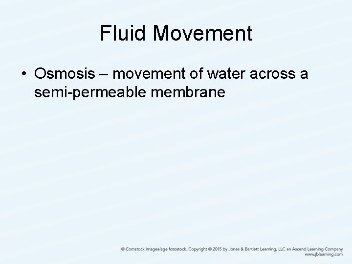 Fluid Movement • Osmosis – movement of water across a semi-permeable membrane 