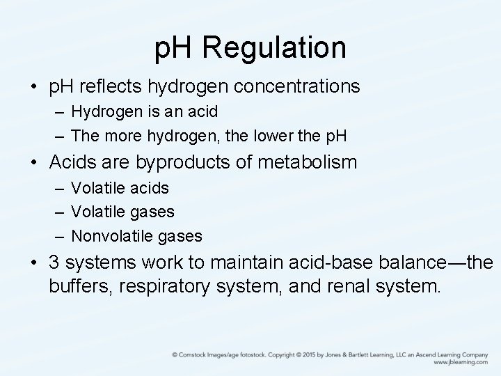 p. H Regulation • p. H reflects hydrogen concentrations – Hydrogen is an acid