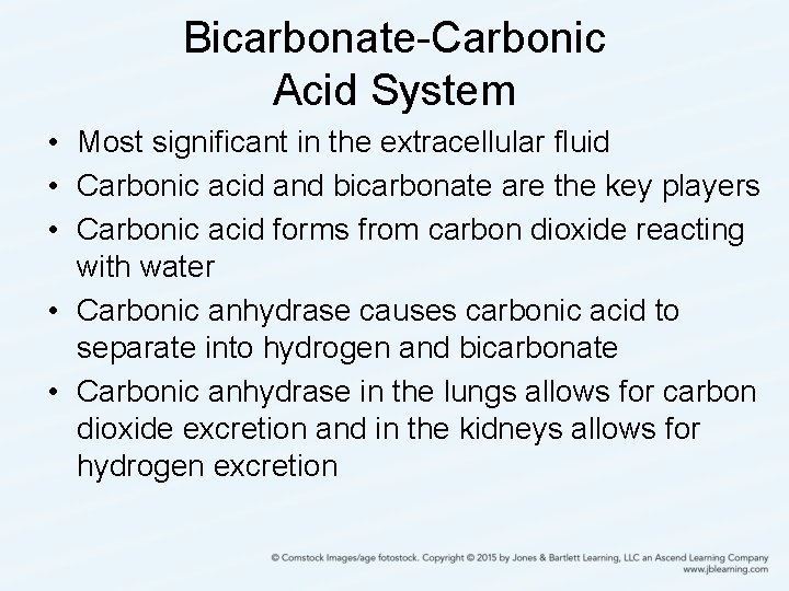 Bicarbonate-Carbonic Acid System • Most significant in the extracellular fluid • Carbonic acid and