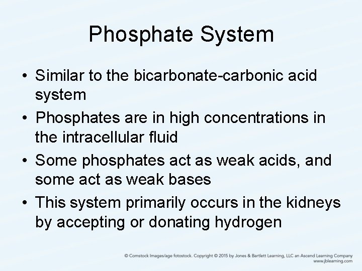 Phosphate System • Similar to the bicarbonate-carbonic acid system • Phosphates are in high