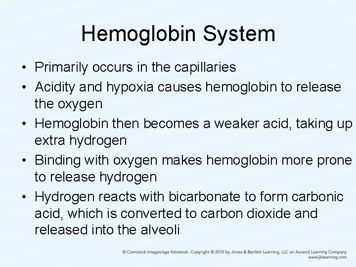 Hemoglobin System • Primarily occurs in the capillaries • Acidity and hypoxia causes hemoglobin