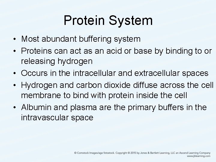 Protein System • Most abundant buffering system • Proteins can act as an acid