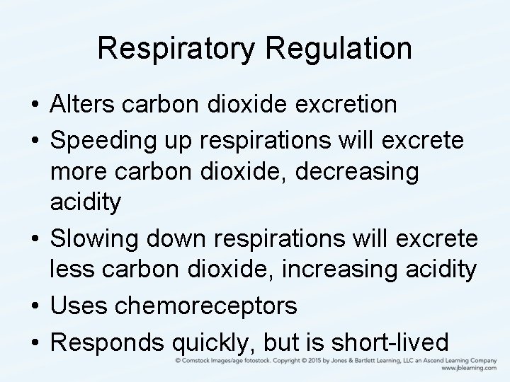 Respiratory Regulation • Alters carbon dioxide excretion • Speeding up respirations will excrete more