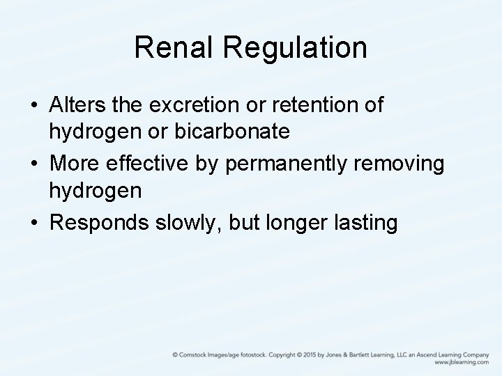 Renal Regulation • Alters the excretion or retention of hydrogen or bicarbonate • More