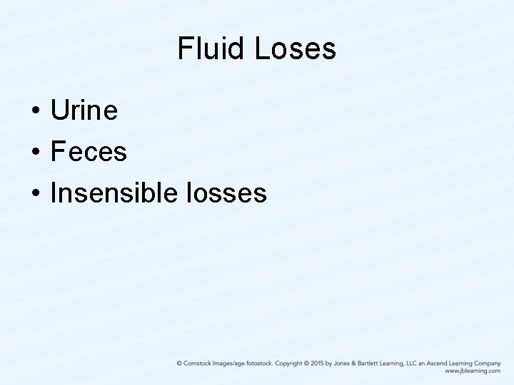 Fluid Loses • Urine • Feces • Insensible losses 
