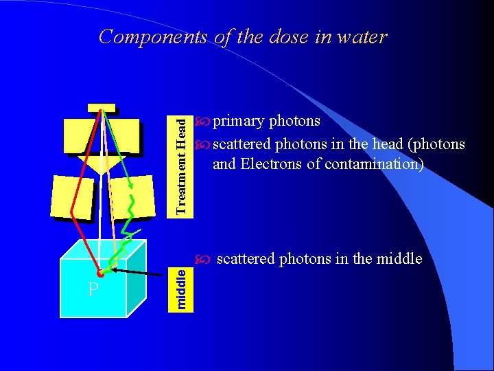 Treatment Head Components of the dose in water primary photons scattered photons in the