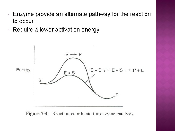  Enzyme provide an alternate pathway for the reaction to occur Require a lower