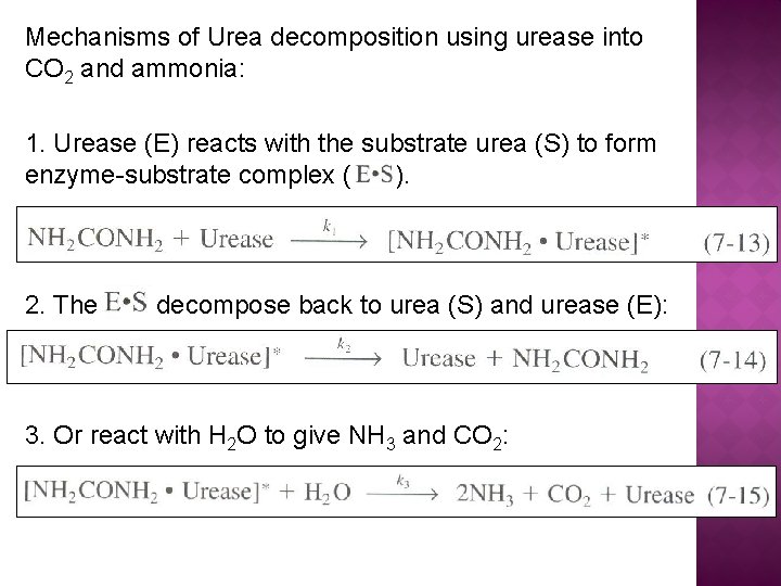 Mechanisms of Urea decomposition using urease into CO 2 and ammonia: 1. Urease (E)