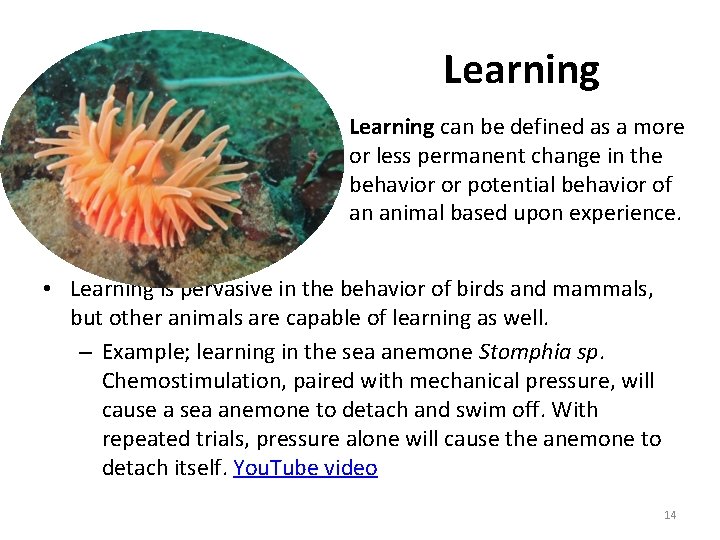 Learning can be defined as a more or less permanent change in the behavior