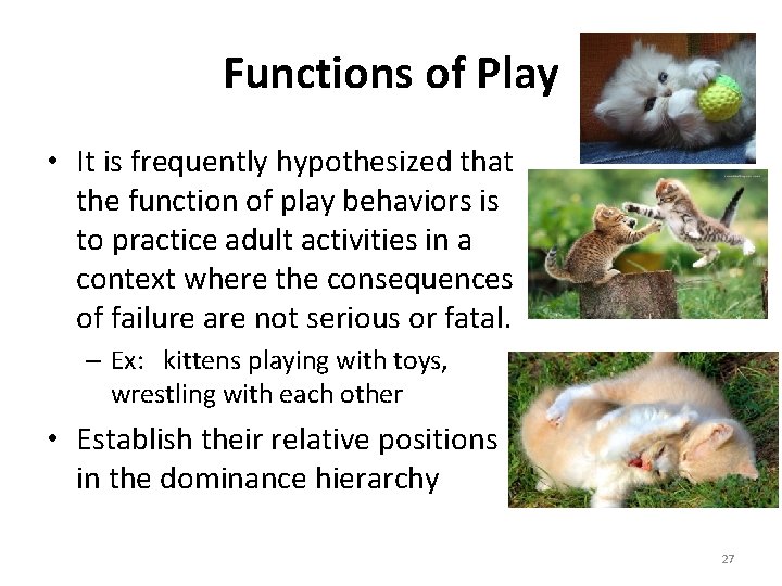 Functions of Play • It is frequently hypothesized that the function of play behaviors