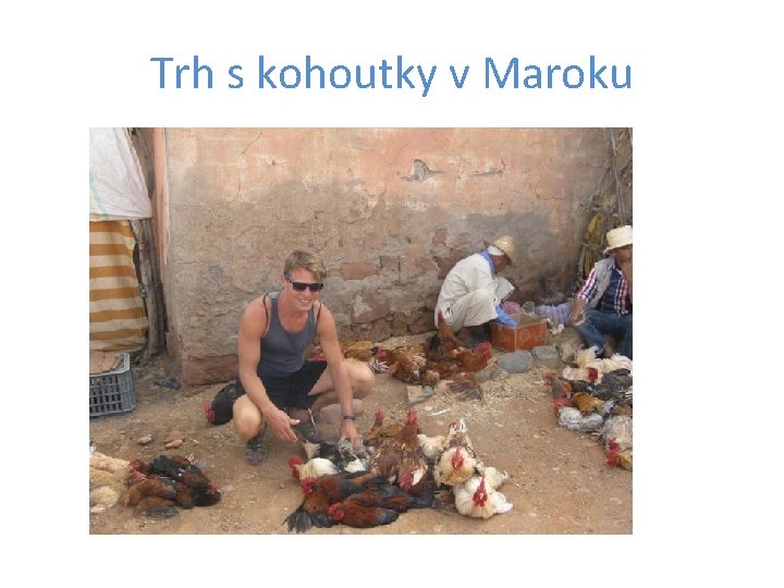 Trh s kohoutky v Maroku 