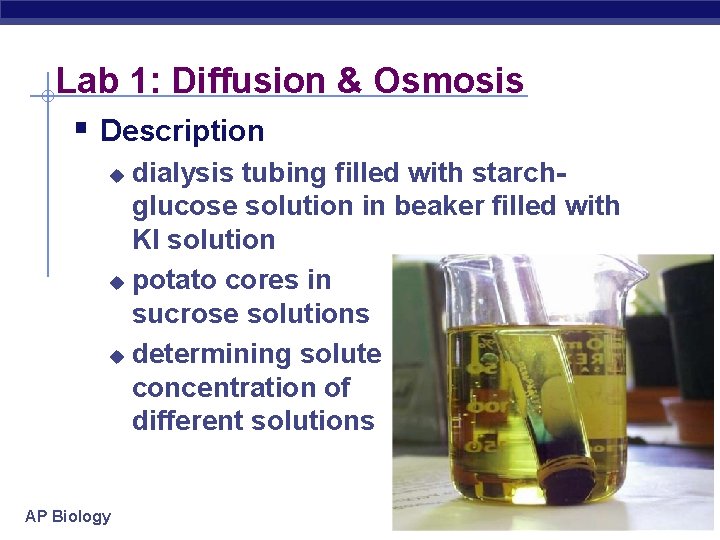 Lab 1: Diffusion & Osmosis § Description dialysis tubing filled with starchglucose solution in