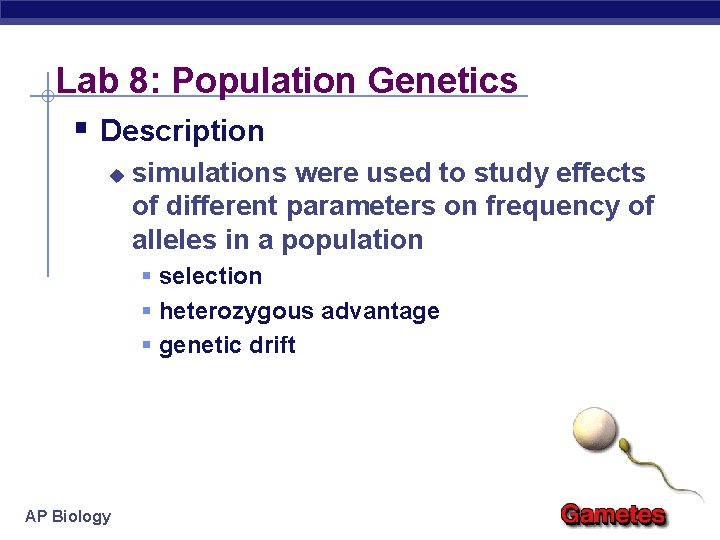 Lab 8: Population Genetics § Description u simulations were used to study effects of