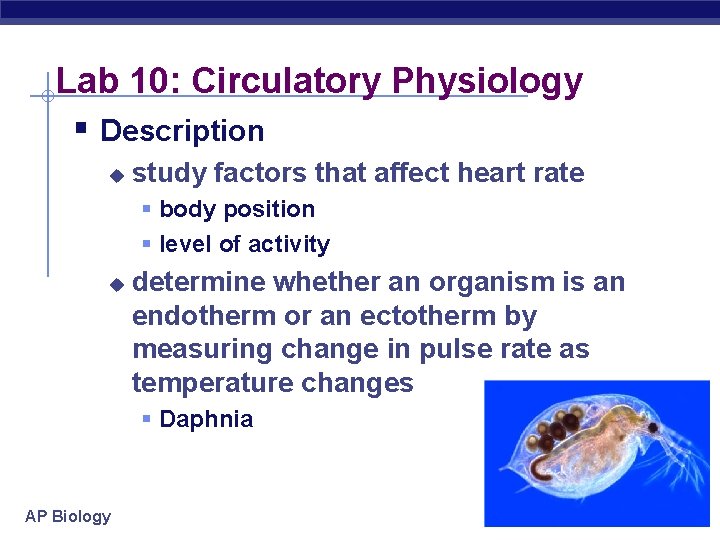 Lab 10: Circulatory Physiology § Description u study factors that affect heart rate §