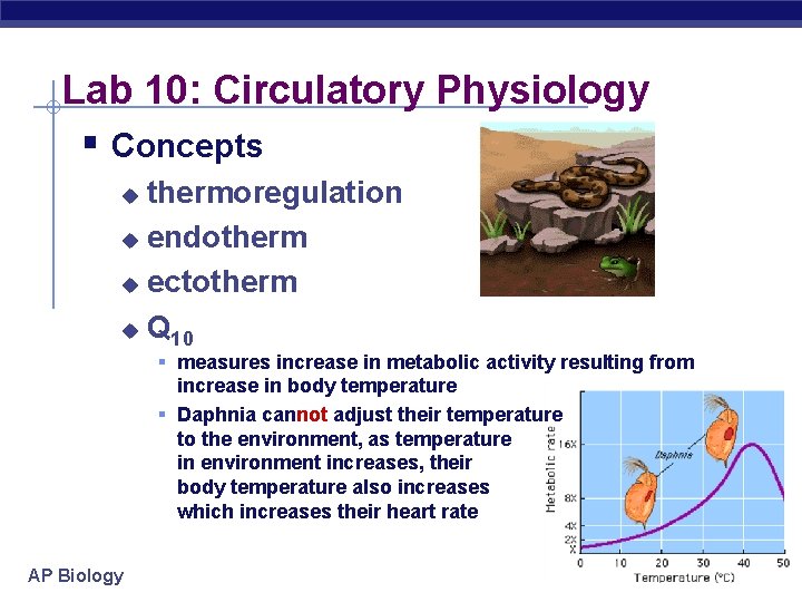Lab 10: Circulatory Physiology § Concepts thermoregulation u endotherm u ectotherm u Q 10