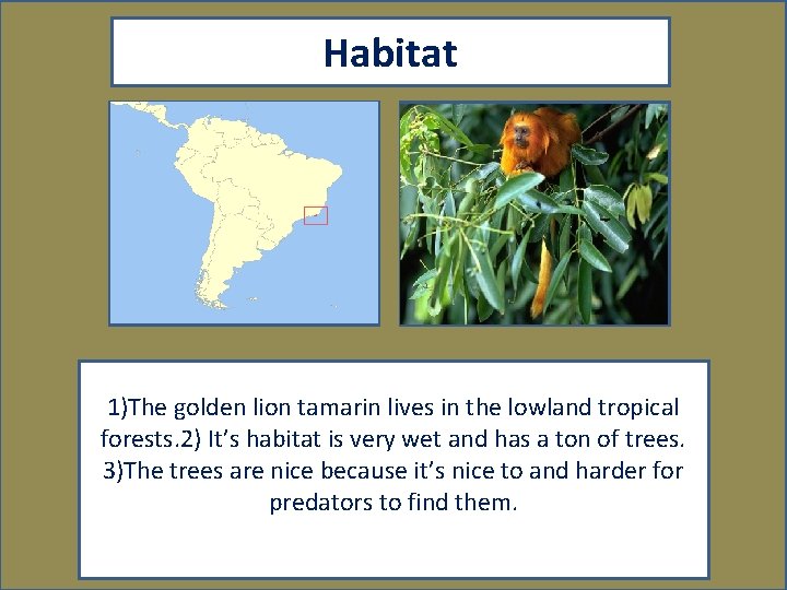 Habitat Map showing where your animal lives Picture showing your animal in its habitat.