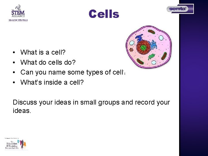 Cells • • What is a cell? What do cells do? Can you name