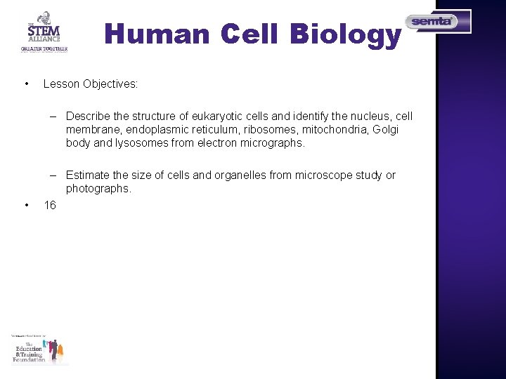 Human Cell Biology • Lesson Objectives: – Describe the structure of eukaryotic cells and