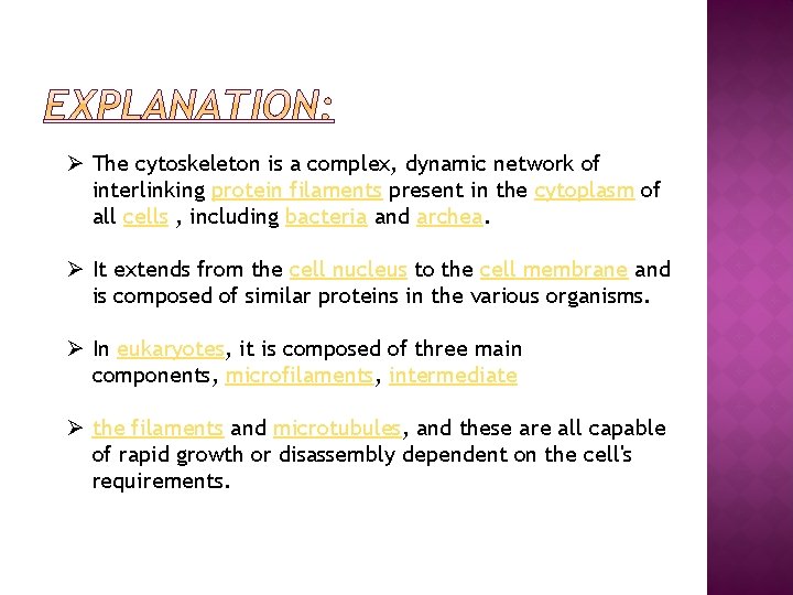 Ø The cytoskeleton is a complex, dynamic network of interlinking protein filaments present in
