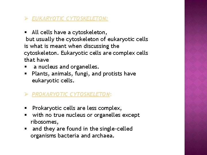 Ø EUKARYOTIC CYTOSKELETON: § All cells have a cytoskeleton, but usually the cytoskeleton of