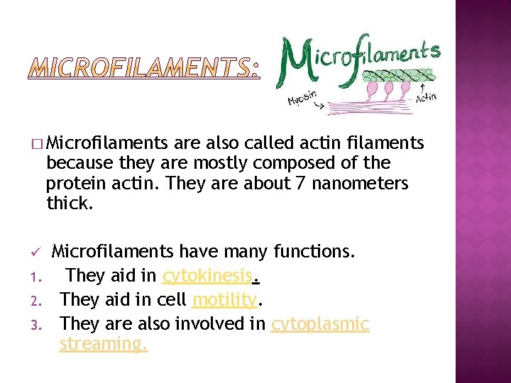 � Microfilaments are also called actin filaments because they are mostly composed of the