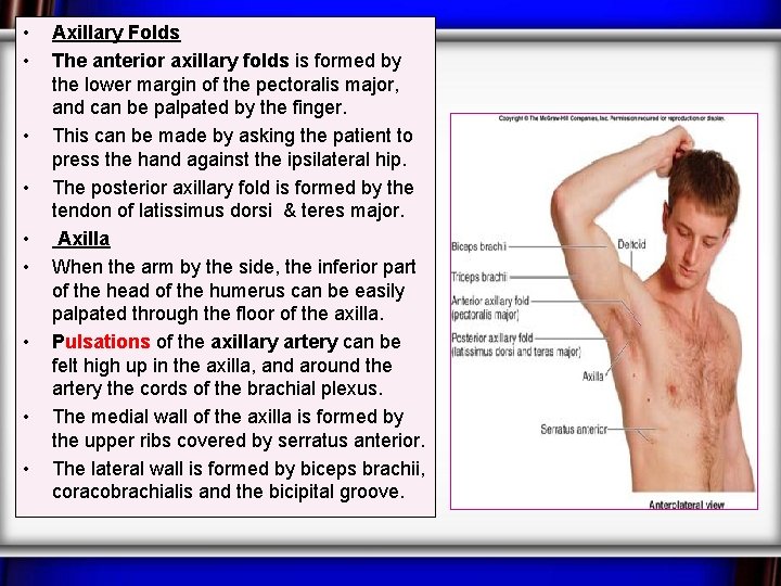 INTRODUCTION TO SURFACE ANATOMY OF UPPER LOWER LIMBS