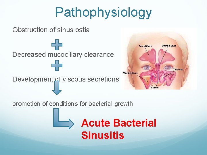 Pathophysiology Obstruction of sinus ostia Decreased mucociliary clearance Development of viscous secretions promotion of