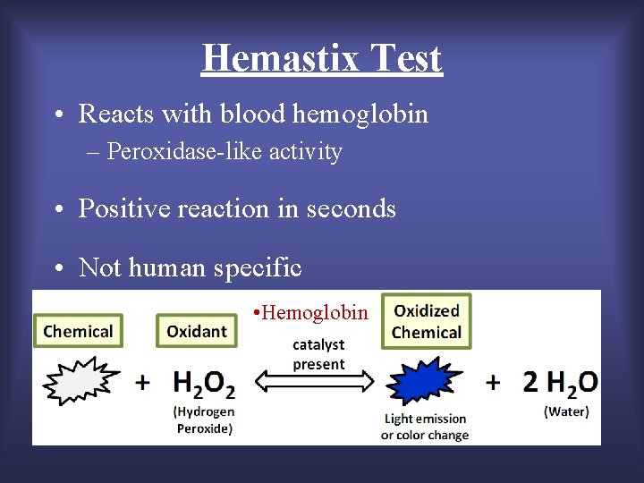 Hemastix Test • Reacts with blood hemoglobin – Peroxidase-like activity • Positive reaction in