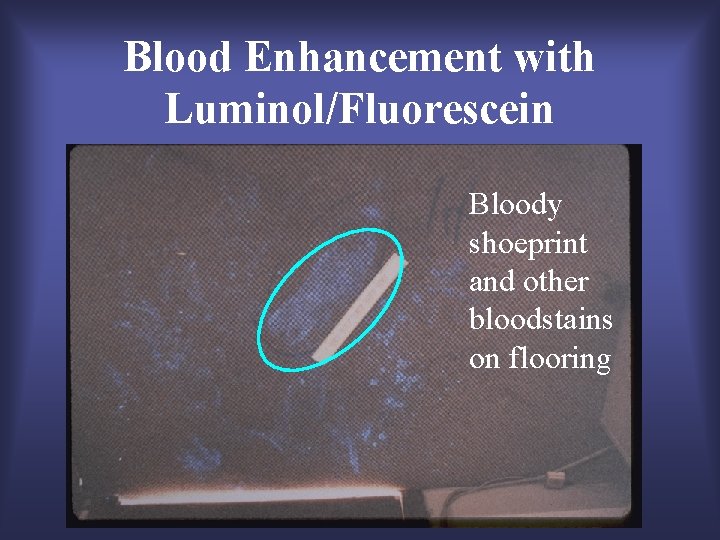 Blood Enhancement with Luminol/Fluorescein Bloody shoeprint and other bloodstains on flooring 