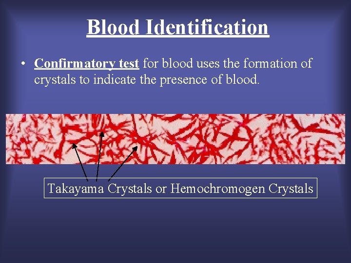 Blood Identification • Confirmatory test for blood uses the formation of crystals to indicate